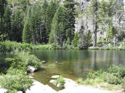 1986 Ford Bronco - A tranquil lake scene with lush green trees and clear water reflecting the surrounding landscape.