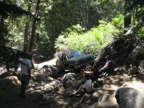1986 Ford Bronco - Ford Bronco tackling a difficult off-road path in a wooded area.