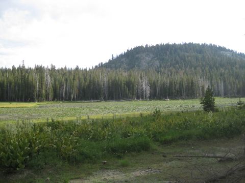 1986 Ford Bronco - A wide view of a mountain landscape a forest, meadow, and sky.