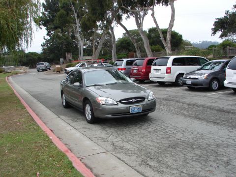 1992 Ford Taurus - A gray sedan is parked in a lot with other vehicles and trees in the background.