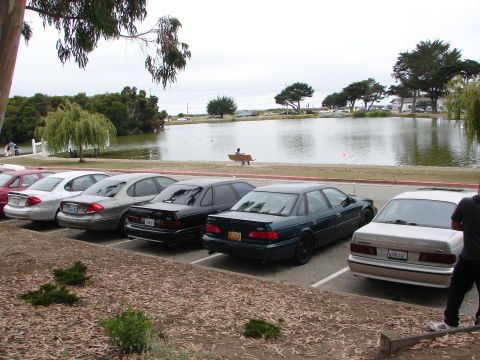 1992 Ford Taurus - Several Ford Tauruses are parked in a lot next to a lake.