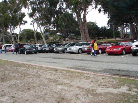 1992 Ford Taurus - Several cars are parked in a line under trees, including a red station wagon and multiple sedans.