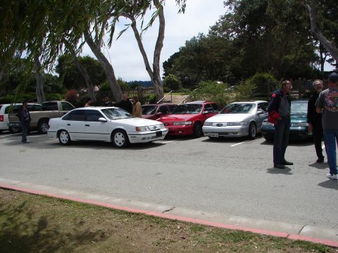 1992 Ford Taurus - Several sedans and a pickup truck are parked in an outdoor lot under trees.