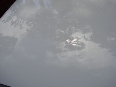 1992 Ford Taurus - Reflections on a white car hood show trees and sky; water spots are present.