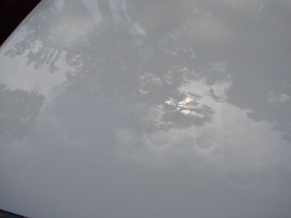 White car hood with reflections of trees and sky. Water spots visible