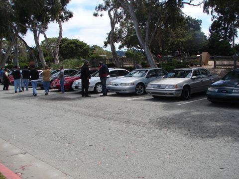 1992 Ford Taurus - A line of Ford Taurus sedans are parked in a lot, with people standing around them.