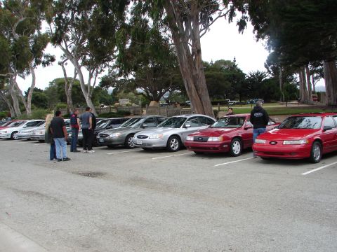 1992 Ford Taurus - A group of Ford Taurus sedans are parked together at an outdoor event.