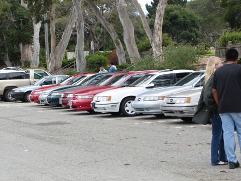 1992 Ford Taurus - A row of cars are parked in a lot with trees in the background and people standing to the side.