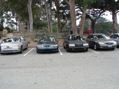 1992 Ford Taurus - Four Ford Taurus sedans are parked in a lot under trees.