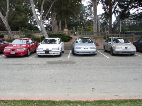1992 Ford Taurus - A lineup of Ford Taurus sedans are parked in a lot with trees and a fence in the background.