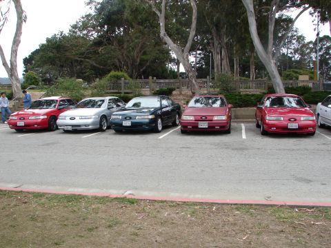 1992 Ford Taurus - Several Ford Tauruses are parked in a lot with trees in the background.