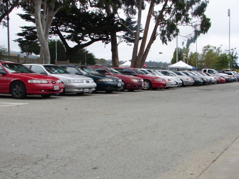 1992 Ford Taurus - A row of Ford Taurus sedans, including a red 1992 model, are parked side-by-side at an outdoor event.