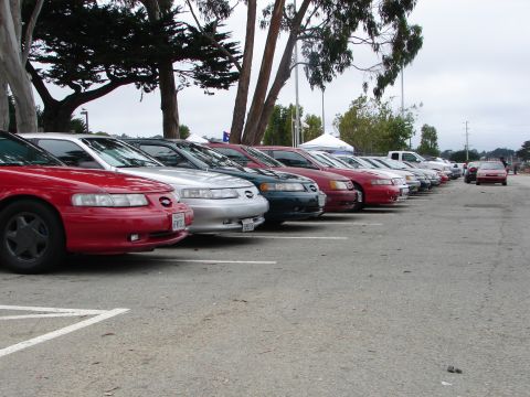 1992 Ford Taurus - Multiple 1992 Ford Taurus sedans are parked in a line at an outdoor event.