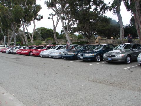 1992 Ford Taurus - A row of sedans parked in a lot, with trees and a fence in the background.