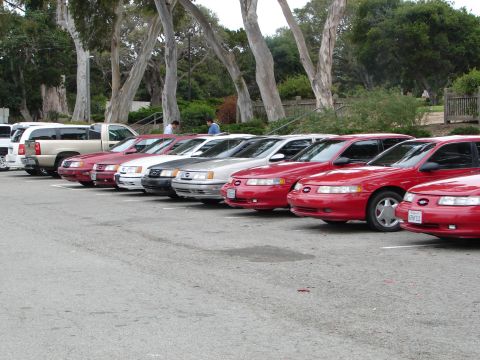1992 Ford Taurus - A row of red and silver sedans, including a 1992 Ford Taurus, are parked in a lot.