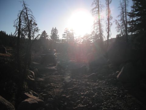 1991 Ford Bronco - An off-road vehicle navigates a rocky path through a forest with the sun low in the sky.