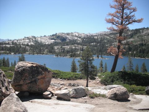 1991 Ford Bronco - A scenic view of a lake surrounded by pine trees and rocky terrain on a sunny day.