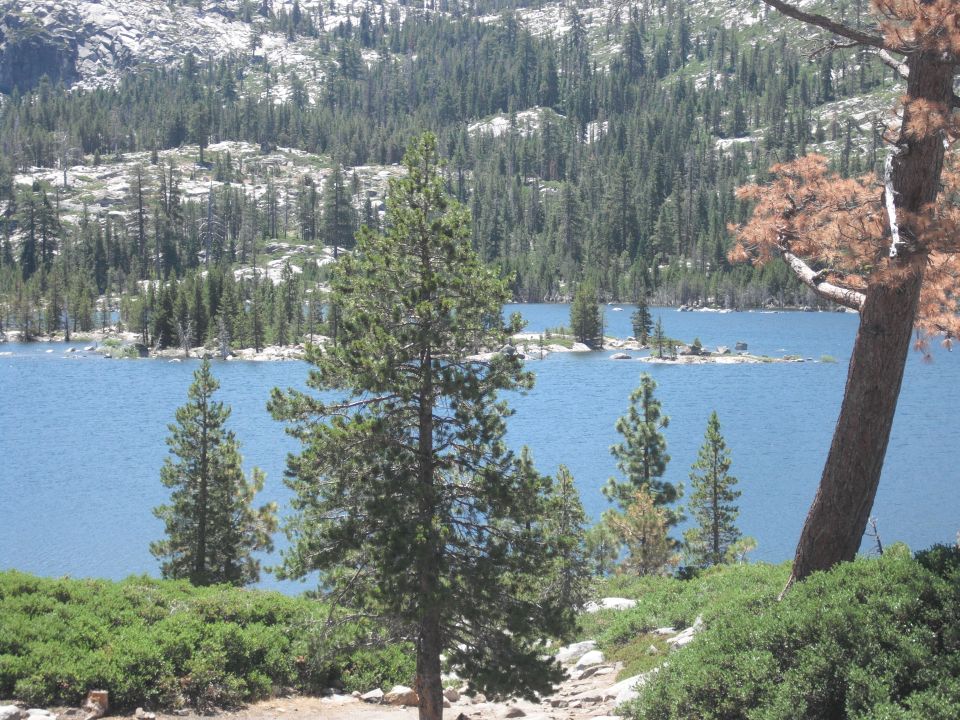 Mountain lake surrounded by pine trees and rocky slopes