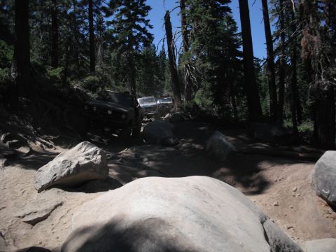 1991 Ford Bronco - Multiple SUVs traverse a challenging off-road path through a dense forest.