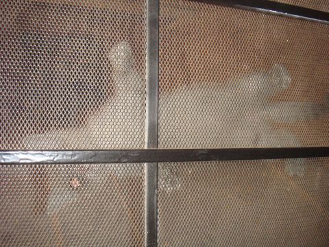 1992 Ford Bronco - The interior of the vehicle shows a metal cage structure with mesh screening.