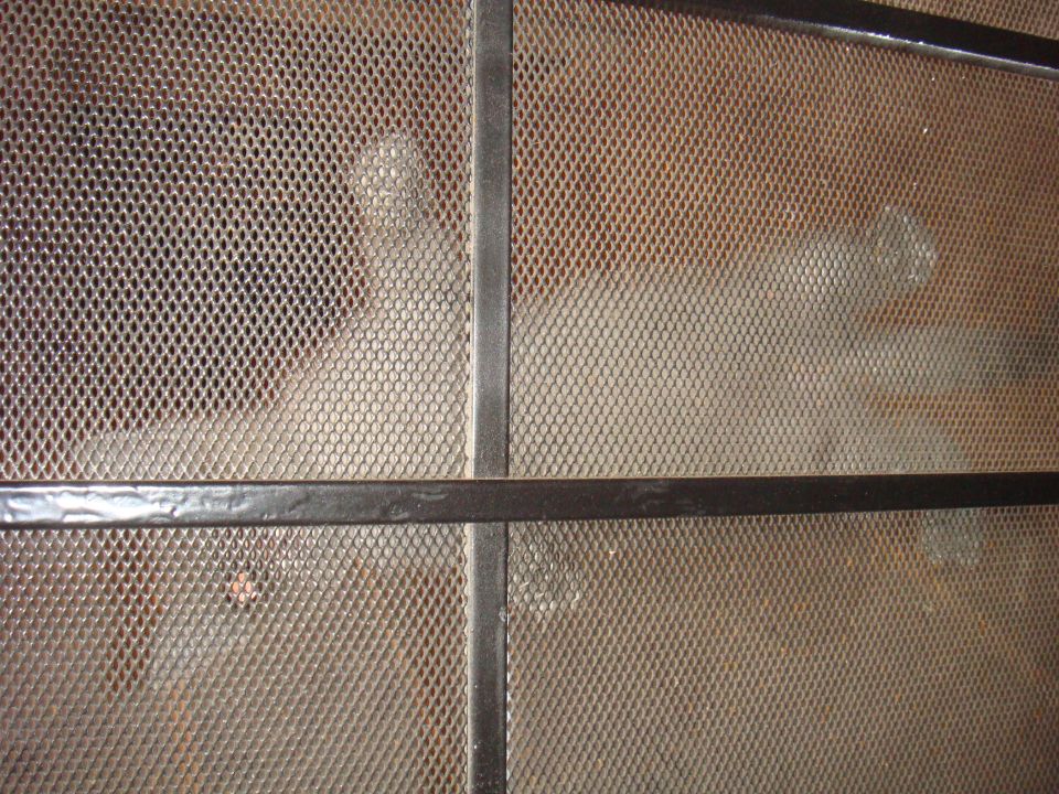 Interior cage with mesh and metal bars