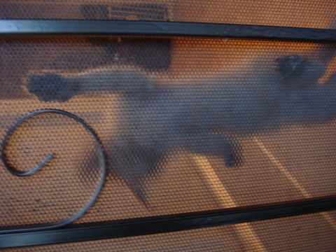 1992 Ford Bronco - A close-up of decorative wrought ironwork against a textured surface, with a website watermark visible.