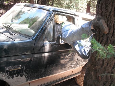 1991 Ford Bronco - A person is leaning out of the driver's side window of a dark green Ford Bronco, which appears to be stuck near a tree.