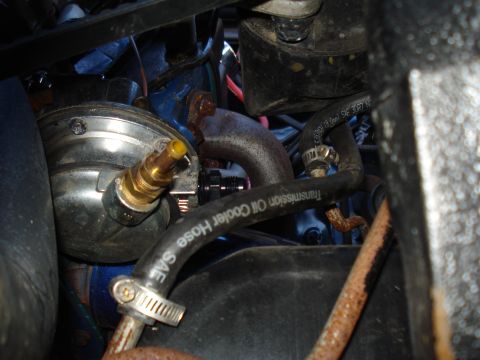 1984 Ford Bronco - Engine-bay close-up of a chrome-cased mechanical fuel pump on a blue engine block, with a brass barbed fitting and a black AN adapter threa…