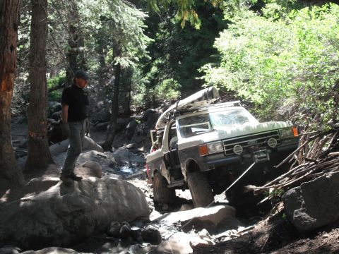 1991 Ford Bronco - This Ford Bronco is shown tackling a challenging off-road path in a wooded area.