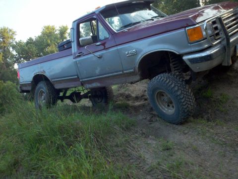 1988 Ford F-150 photo