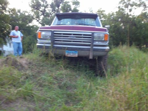 1988 Ford F-150 photo