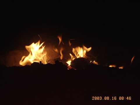 1989 Ford Bronco - A fire burns brightly against a dark background, with a date and website visible in the lower right corner.
