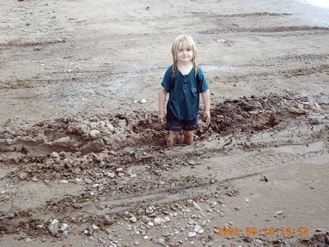 1989 Ford Bronco photo
