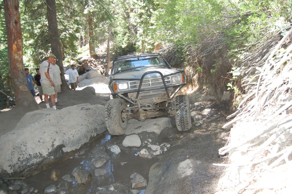 Modified pickup truck with a custom bumper and roll cage on a rough, wooded trail