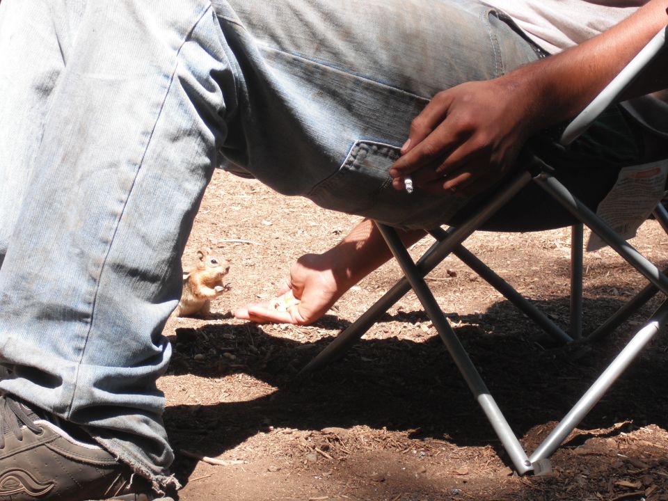 Person in jeans and t-shirt sitting in a folding chair, offering food to a small squirrel on the ground