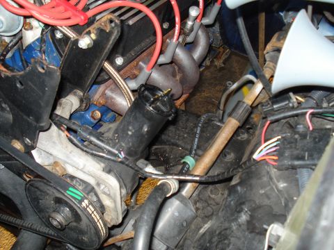 1984 Ford Bronco - Tight engine-bay close-up down the side of a blue V8, showing the cast exhaust manifold, red Ford Racing plug wires, a black ignition coil…
