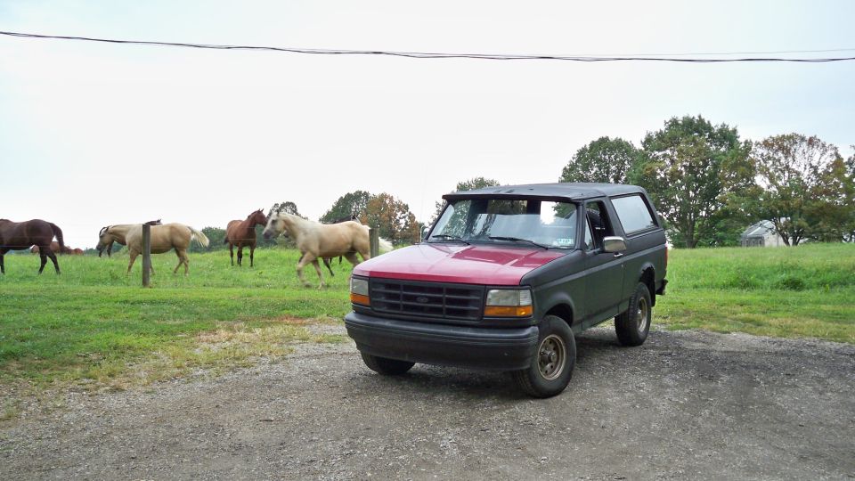 1994 Ford Bronco