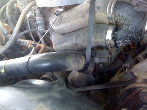 1995 Ford Bronco - Close-up view of engine bay components including hoses and belts.