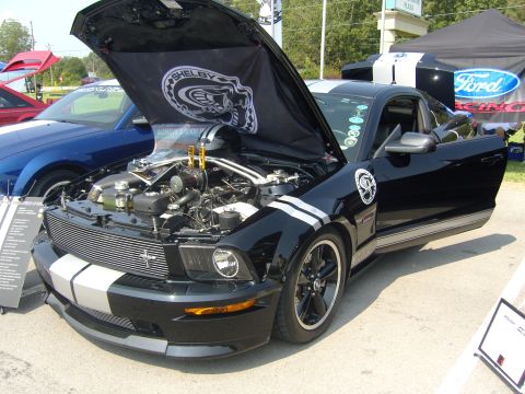 2007 Ford Mustang - A black Shelby Mustang is displayed with its hood open, revealing the engine compartment and a Shelby banner.