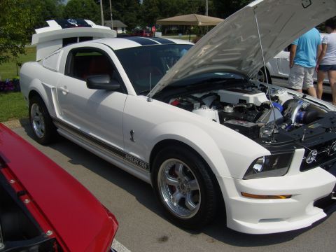 2007 Ford Mustang - White 2007 Ford Mustang Shelby GT500 at a car show, hood open to display engine.