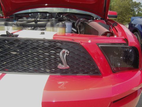 2007 Ford Mustang - Front view of a red 2007 Ford Mustang Shelby GT500, hood open, revealing engine bay and racing stripes.