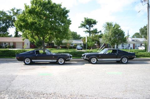 1968 Shelby GT500 - Two 1968 Shelby GT500s are parked on a residential street, their iconic side profiles.