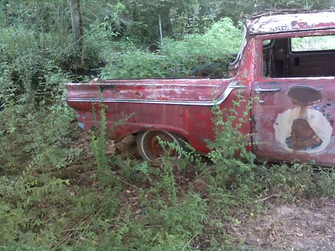 1973 Ford Ranchero - Derelict late-1950s red car-based pickup sitting in weeds and brush in the woods, viewed from the passenger side with the bed sunk into the…