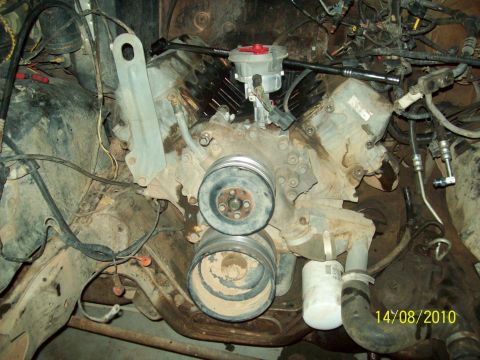 1985 Ford Bronco - Close-up view of a V8 engine, showing the distributor cap and pulleys. Date stamp indicates 14/08/2010.