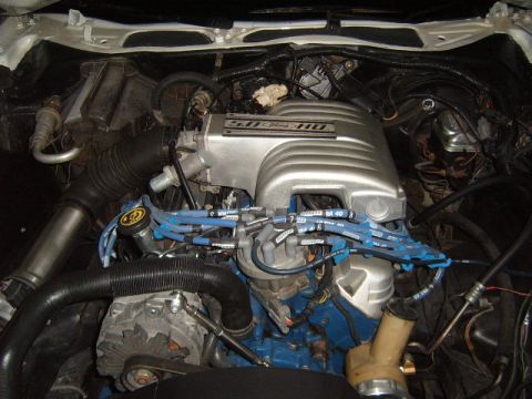 1973 Ford Ranchero - Close-up of a Ford 5.0 HO engine, showing the intake manifold and spark plug wires.