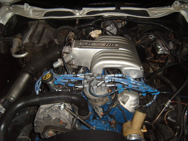 Ford 5.0 HO engine with blue spark plug wires and silver intake manifold