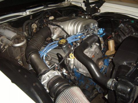 1973 Ford Ranchero - Close-up view of a V8 engine in a vehicle's engine bay.