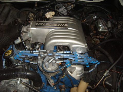 1973 Ford Ranchero - Close-up of a Ford 5.0 HO engine, showing the intake manifold and spark plug wires.