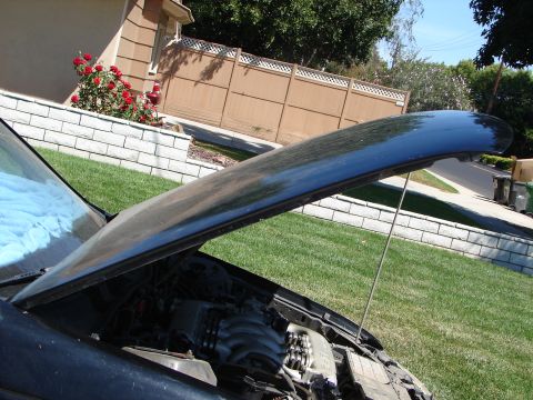 1992 Ford Taurus - The hood of a dark blue 1992 Ford Taurus is open, revealing the engine compartment and a blue cloth on the windshield.