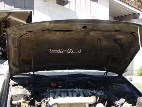 1992 Ford Taurus - The underside of the hood displays an SHO emblem, with the engine visible below.